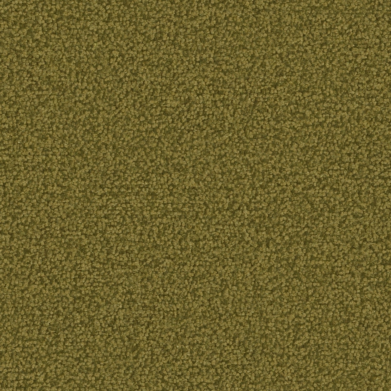 Grass_G704