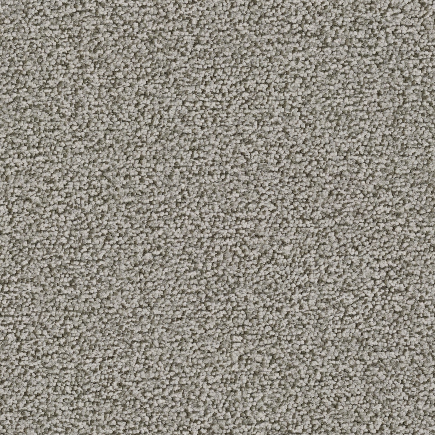 Elephant_G706