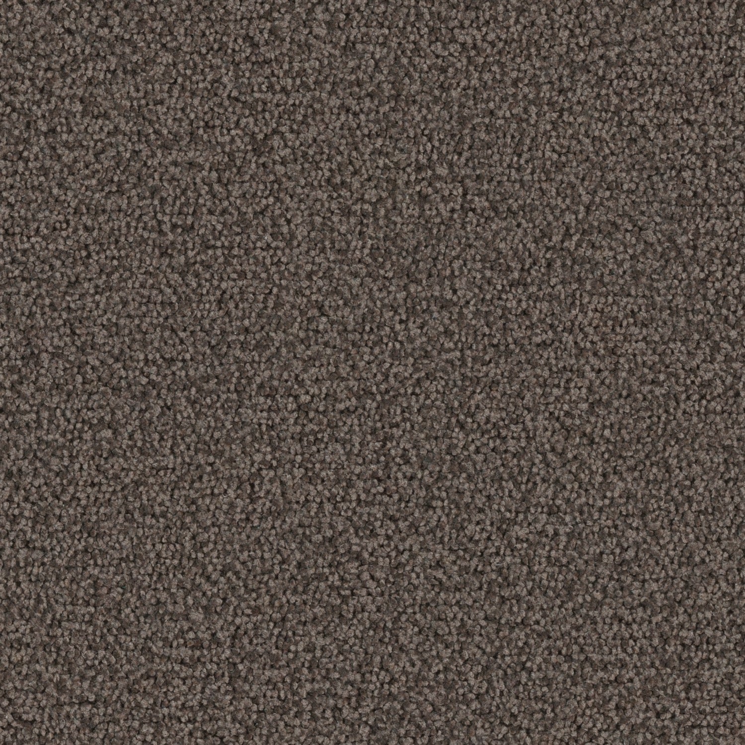 Grey_G707