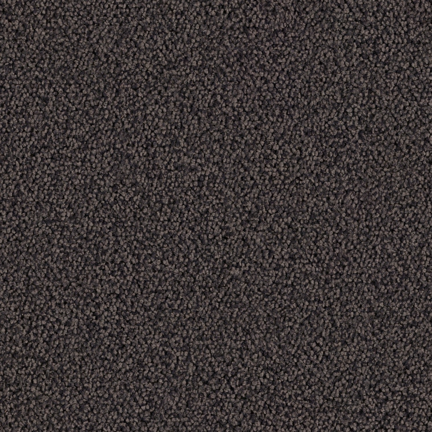 Anthracite_G708