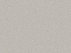 Fuego - Microfaser (Stoffmuster) — Silver_F458