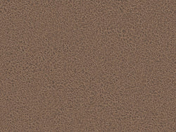 Fuego - Microfaser (Stoffmuster) — Brown_F459