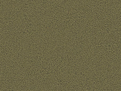 Fuego - Microfaser (Stoffmuster) — Olive_F461