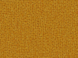 New York Mustard G005
