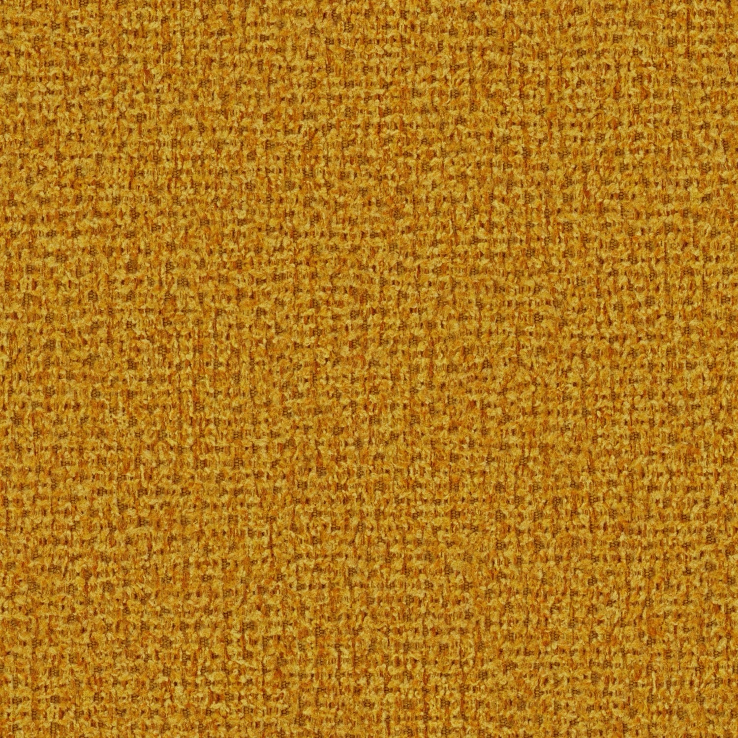 New York Mustard G005