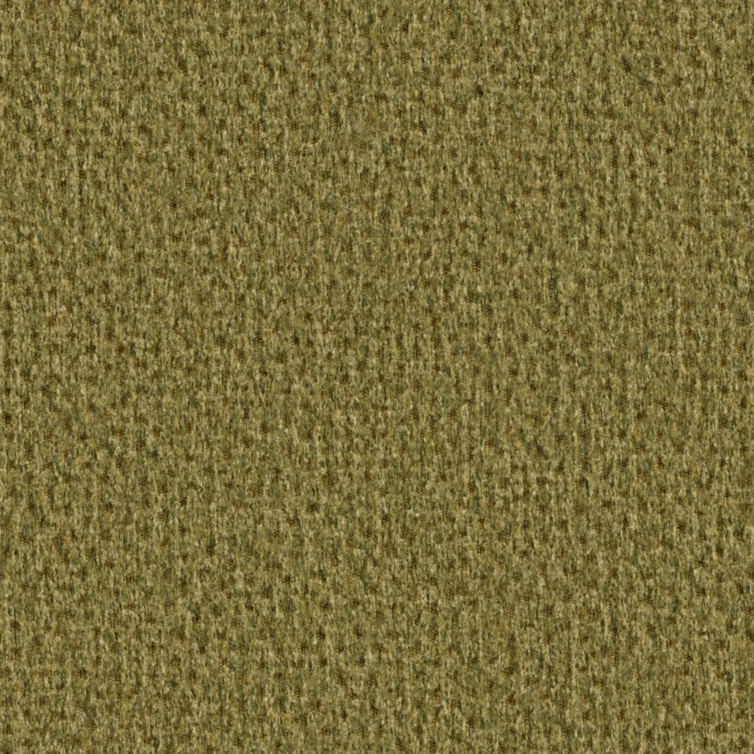 New York Olive G006