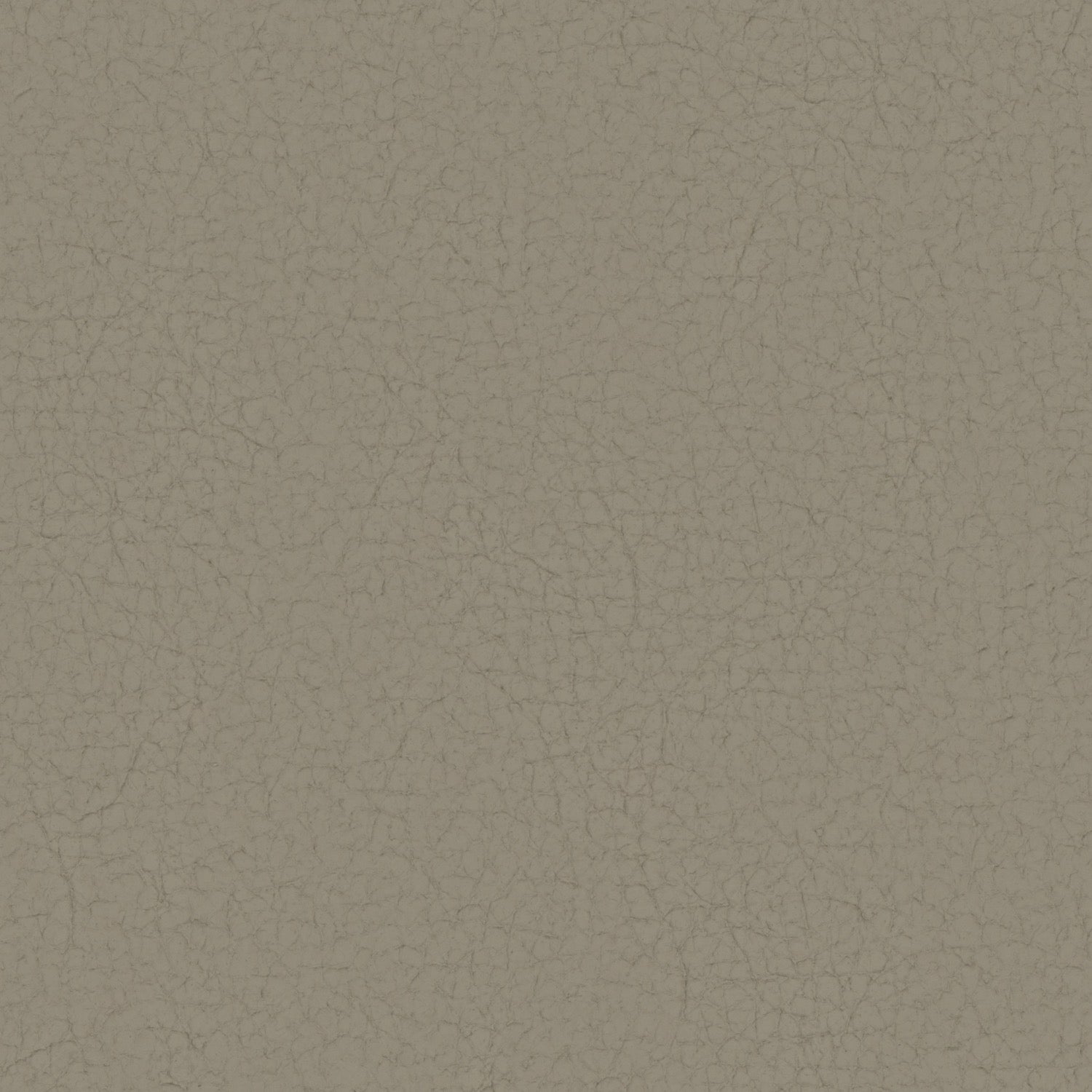 Pampas Madras Hellgrau M9010
