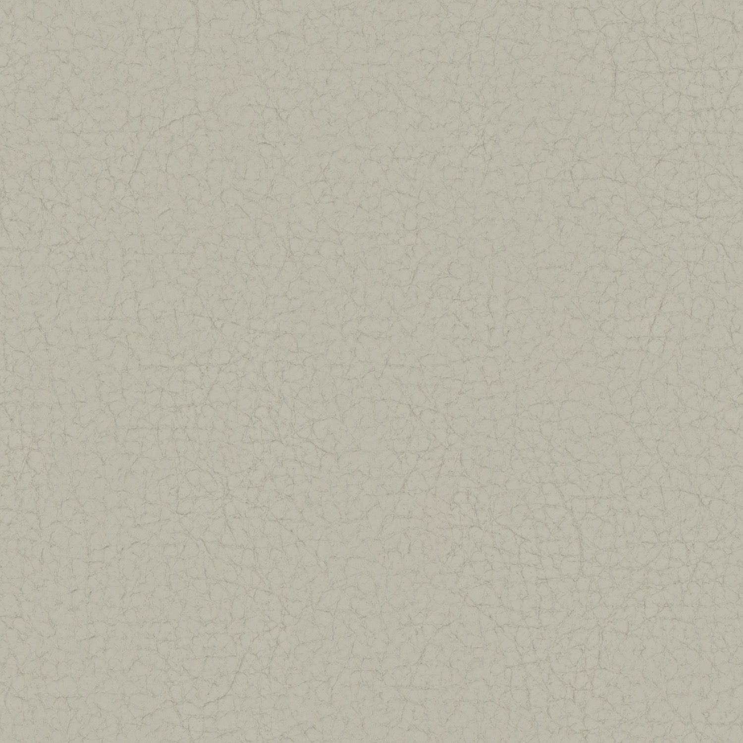 Pampas Madras Bianco M9013