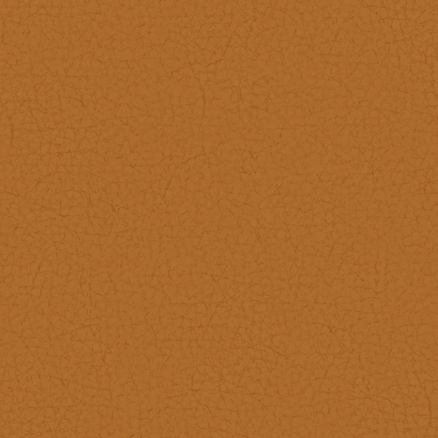 Pampas Madras Amber M9030