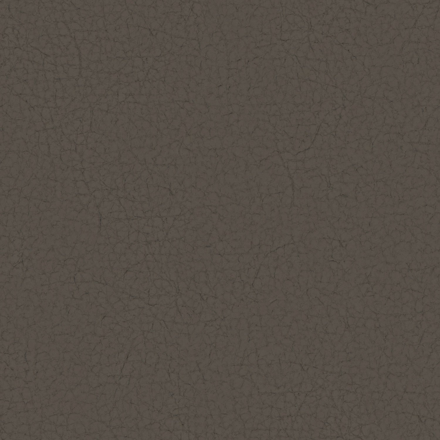 Pampas Madras Cocoa M9035
