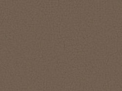 Pampas Madras Mouse M9036