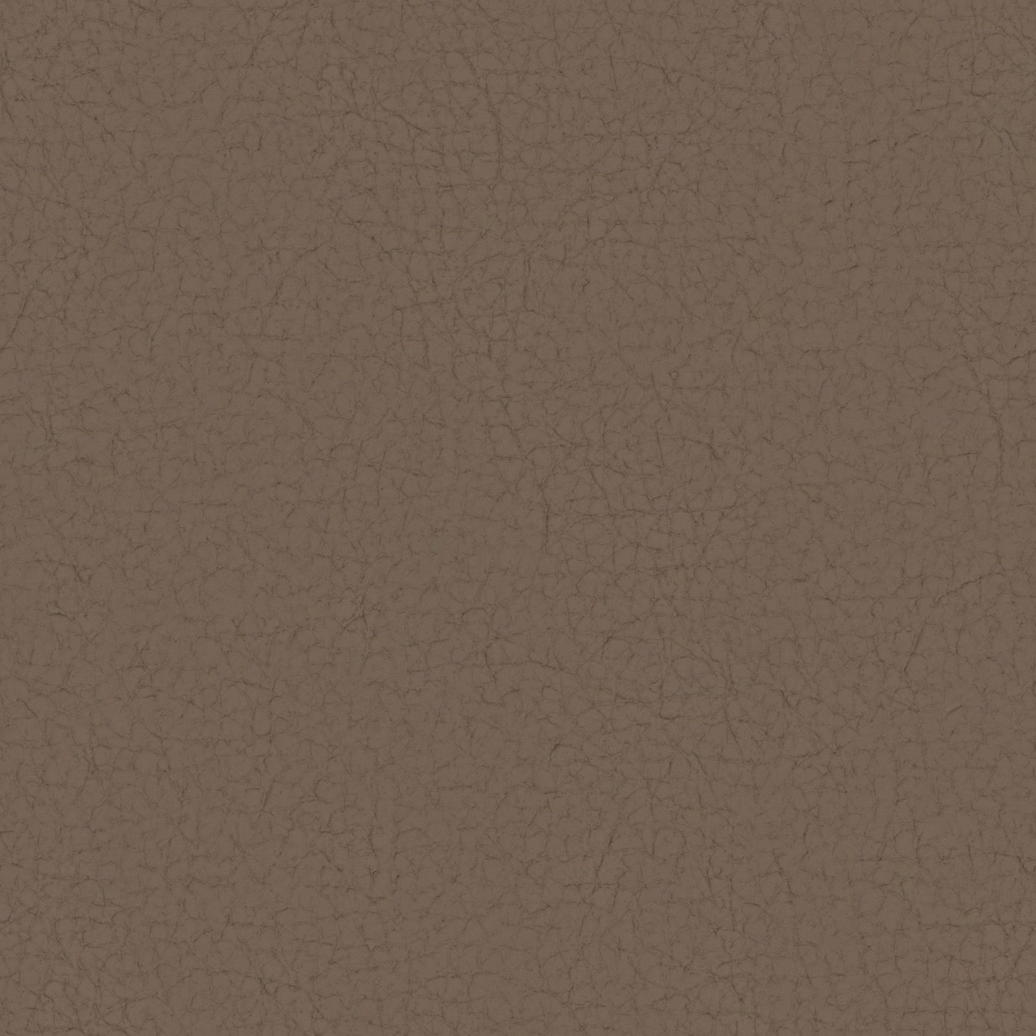 Pampas Madras Mouse M9036