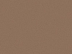 Pampas Madras Cappuccino M9037