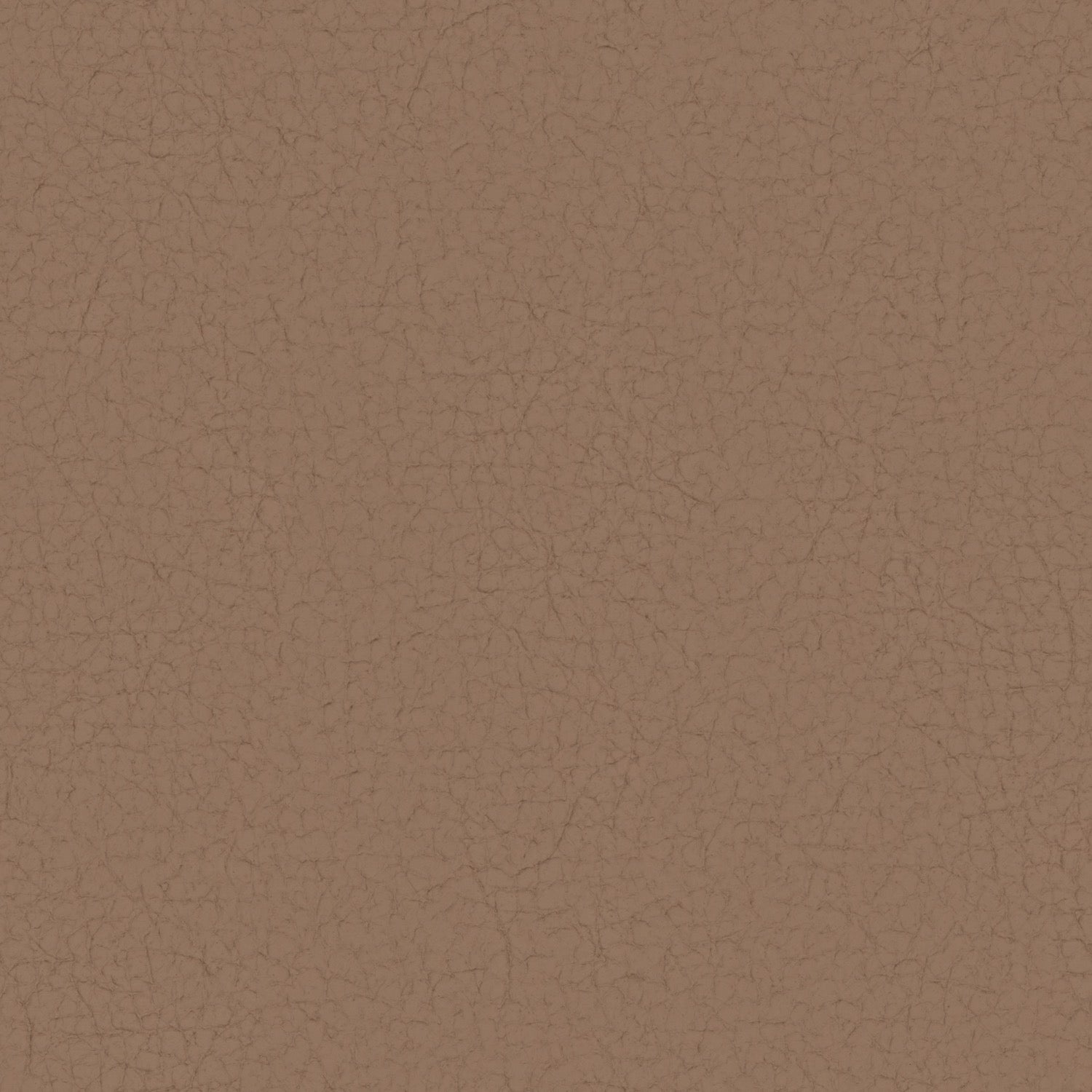 Pampas Madras Cappuccino M9037