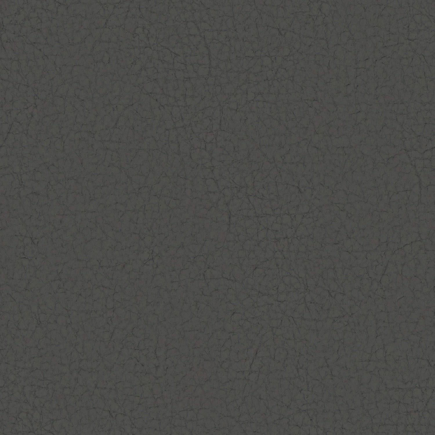 Pampas Madras Fango M9045